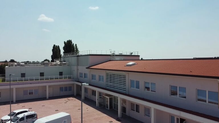 La verità sul mercato avicolo di Verona: come il settore sta rispondendo alle sfide contemporanee
