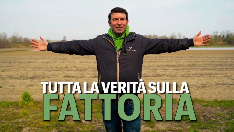 Allarme avicoltura toscana: le aziende affrontano una crisi senza precedenti!