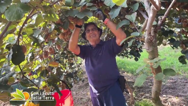 La success story della grande azienda avicola di Imola: alla scoperta del suo segreto