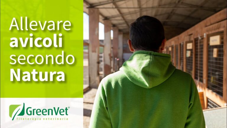 Fitoterapia per avicoli: Scopri come le piante curano il tuo pollaio