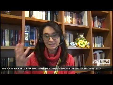 Affari d’oro: Capannoni Avicoli in Vendita in Lombardia