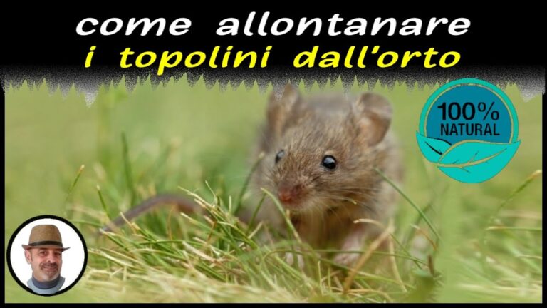 La sorprendente rivalit&agrave;: Avicole vs Arvicole