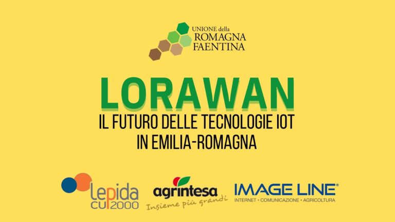 Azienda avicola Modena: alla scoperta del settore del pollo biologico