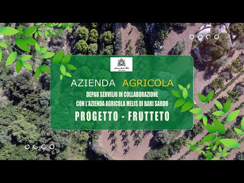 Scopri la lucrosa attività di un’azienda avicola nella provincia di Nuoro