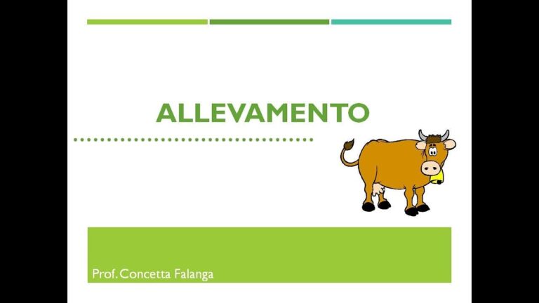 Il caos dei bovini, suini e avicoli: animali domestici da dichiarare